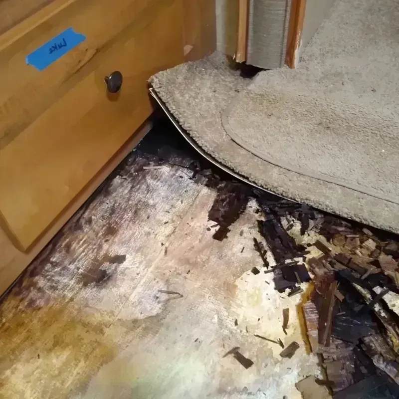 Wood Floor Water Damage in Robbins, NC